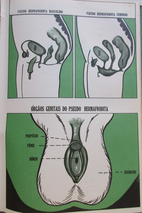 Enciclopédia da Educação Sexual - - - - - 3 X Enciclopédia