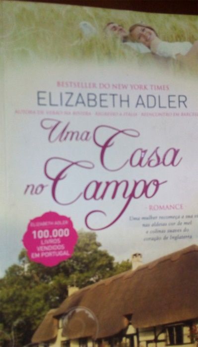 6 Livros Literatura Diversa - Ensaios, Romance, Policial - Alguns Raro