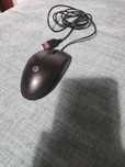 Rato de computador