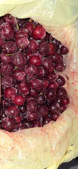 Продам вишню з кісточкою,сортову