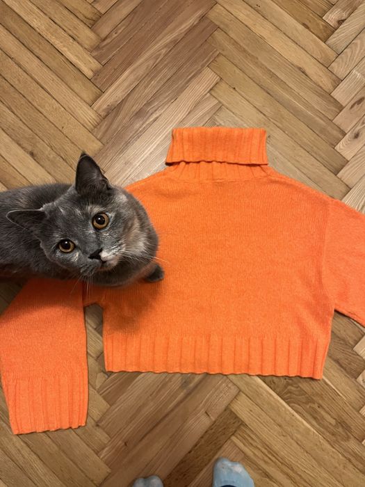 Светр жіночий h&m