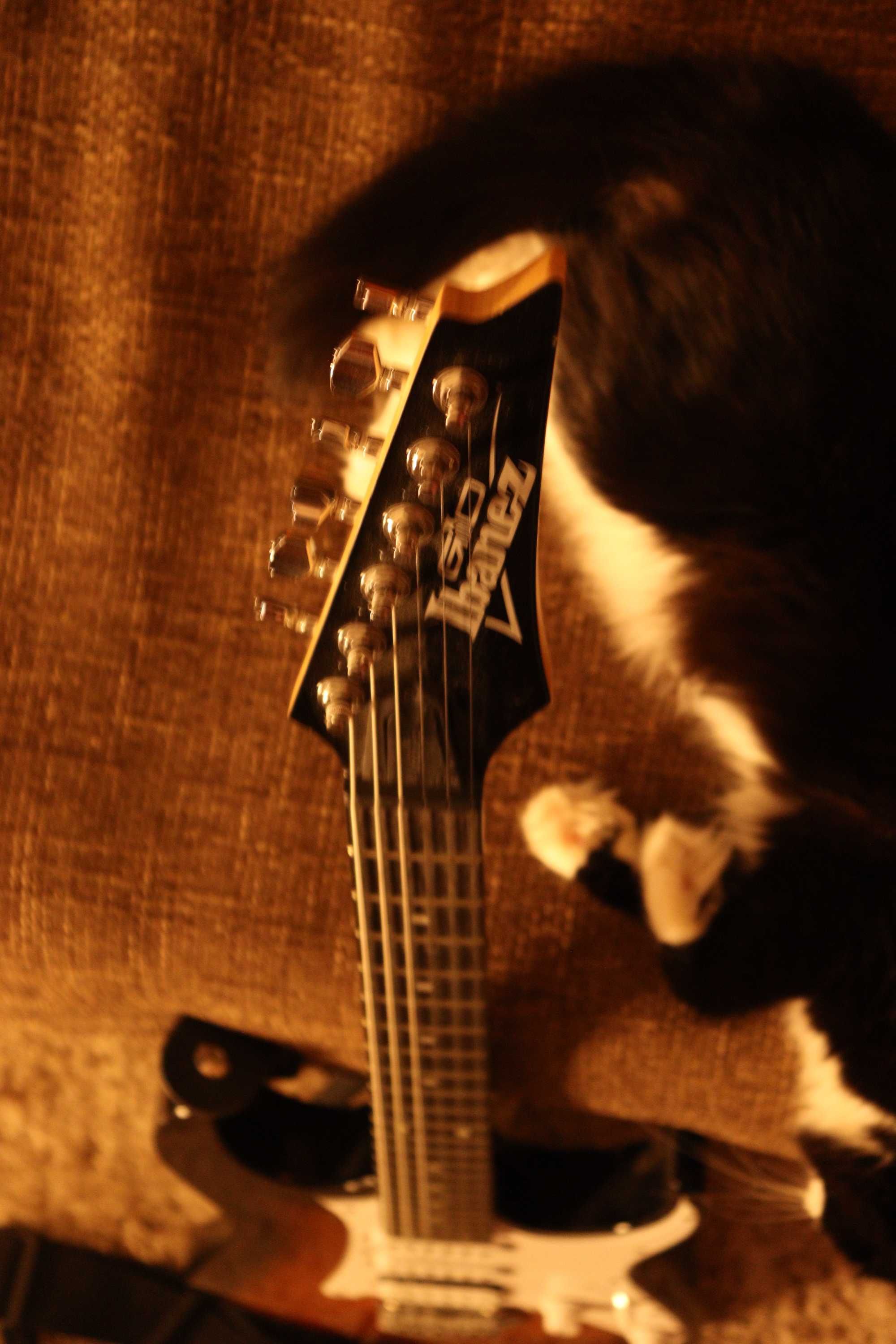 Електрогітара Ibanez gio