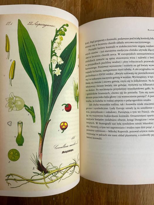 Simona Kossak o ziołach i zwierzętach