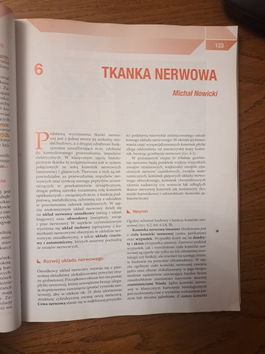 Histologia Zabel