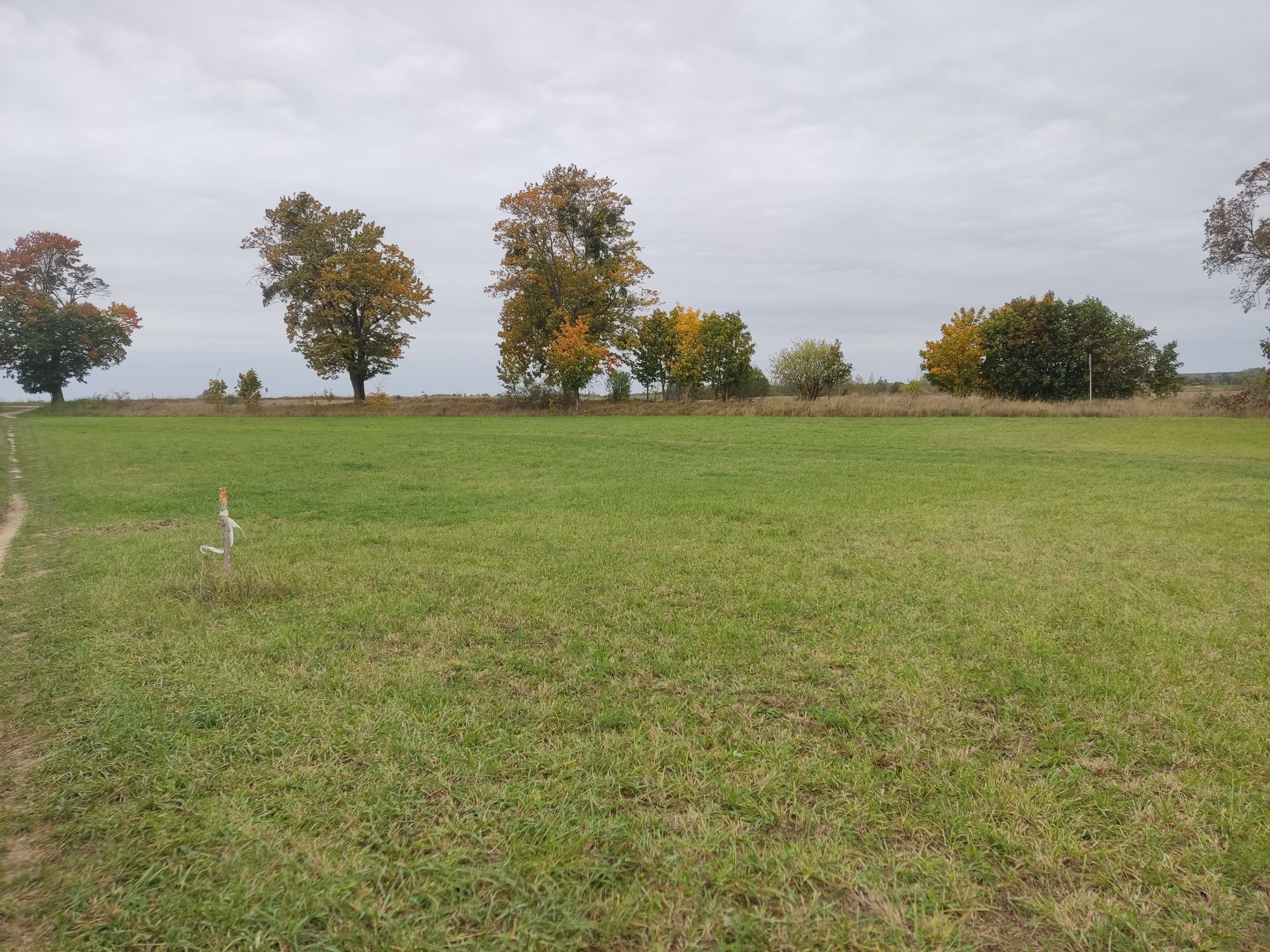 Działka rekreacyjna, Mazury, warunki zabudowy, jezioro, las,