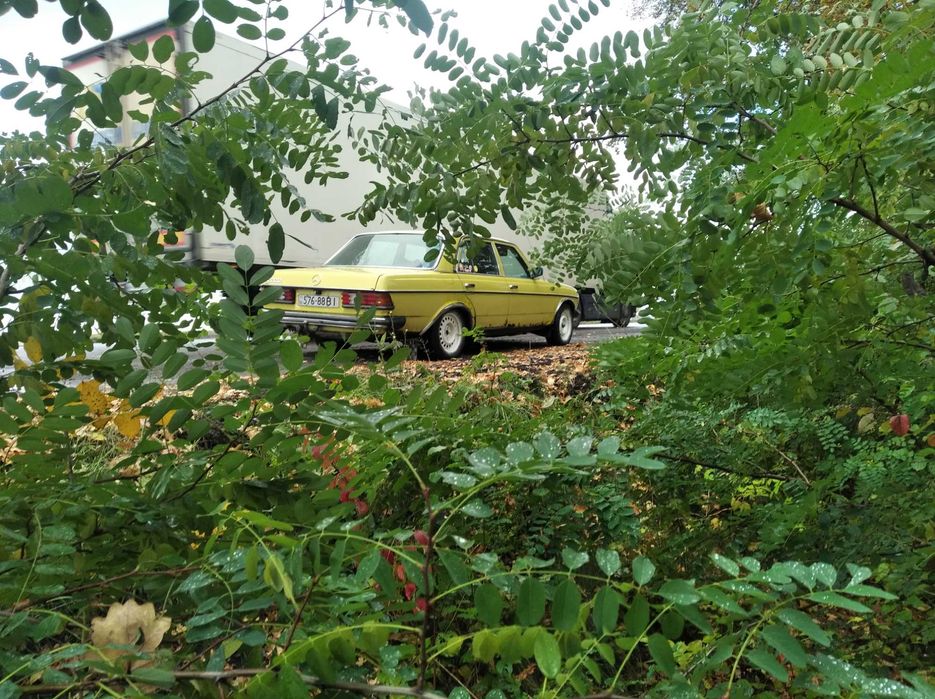 Мерседес 123 2.2 дизель