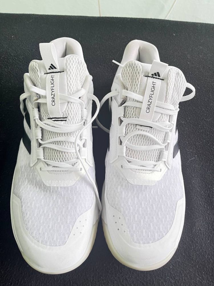Кросівки Adidas Crazyflight 2024