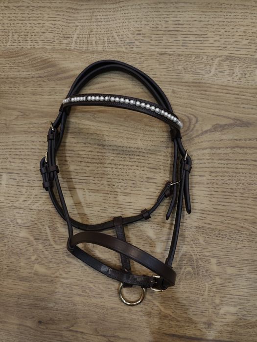 Prezenterka dla źrebaka