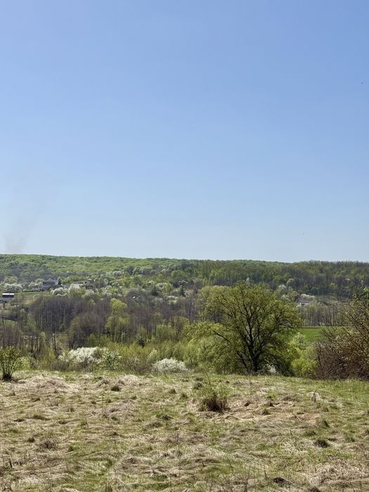 Ділянка 33 гектара Мала Ольшанка,Обухівський район