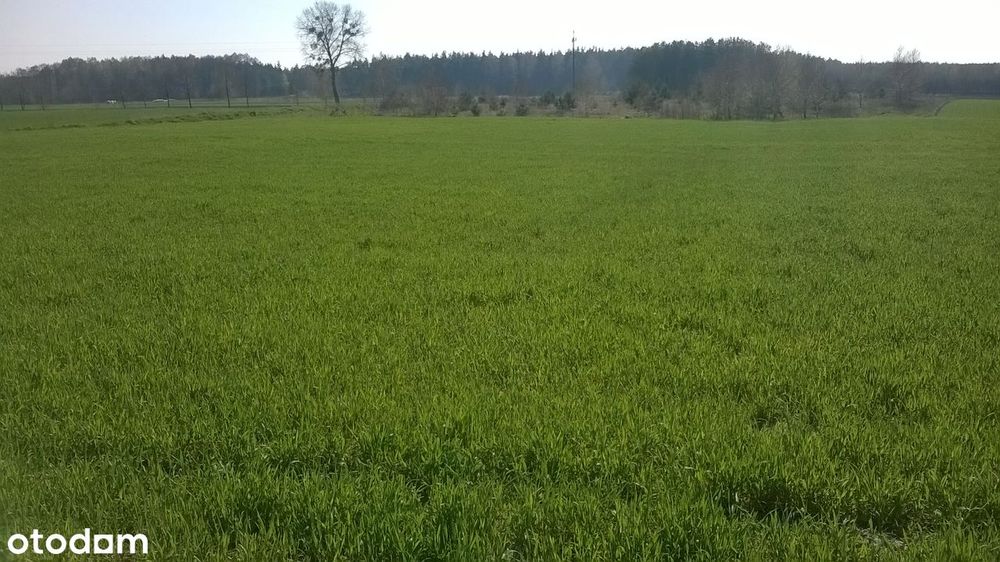 Piękna działka  budowlana 3000m2