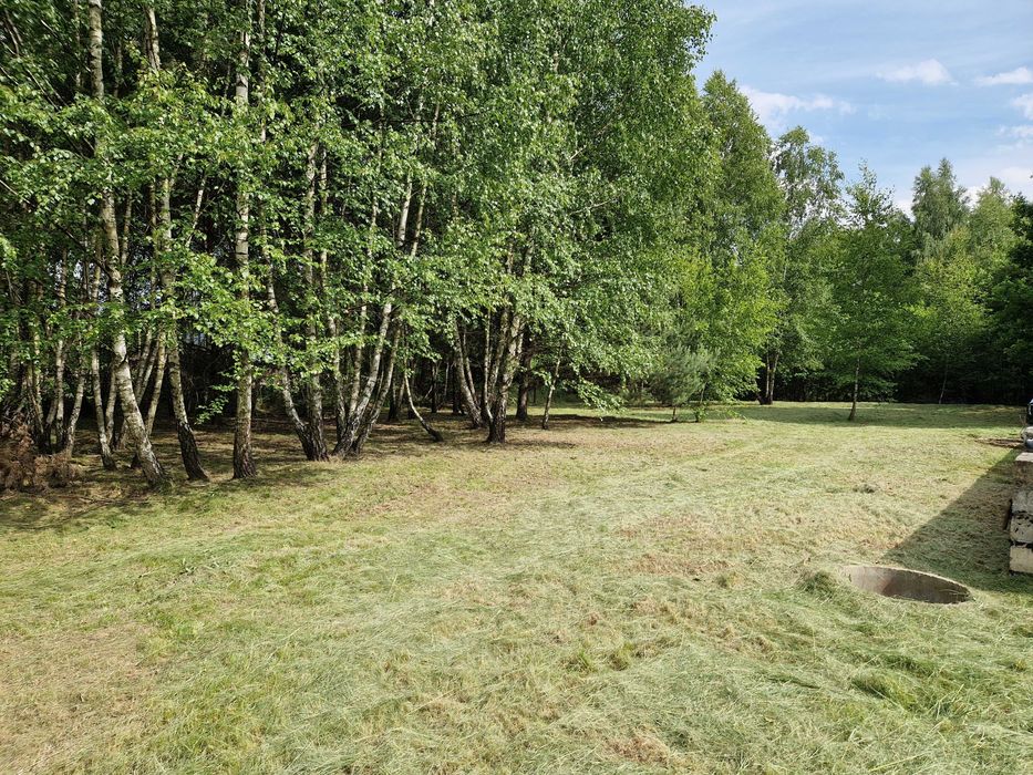 SPRZEDAM – dwie działki 1786 m². Blisko Jury. Cisza i spokój, sielanka