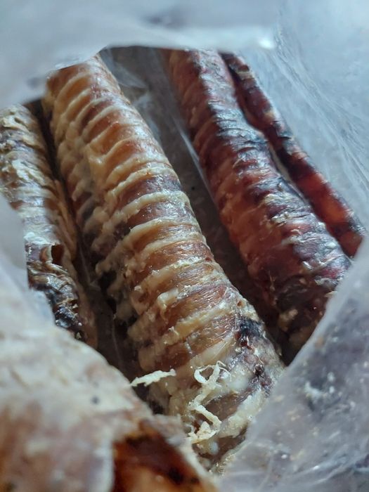 4 sztuki / tchawica wołowa / 50 cm