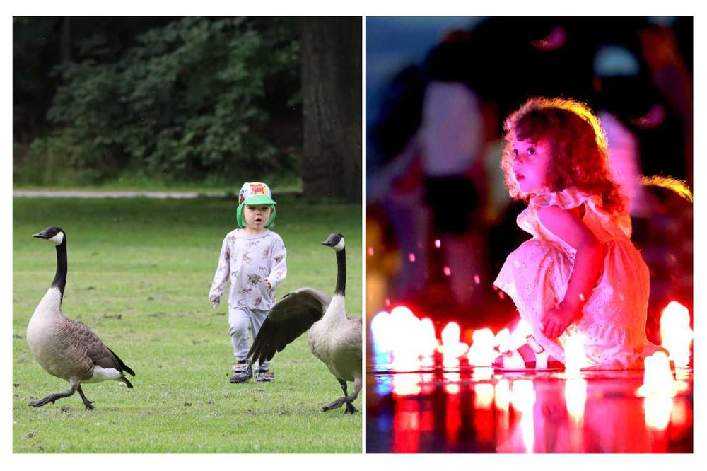 Фотограф, відеомейкер, репортаж, контент. Харків.