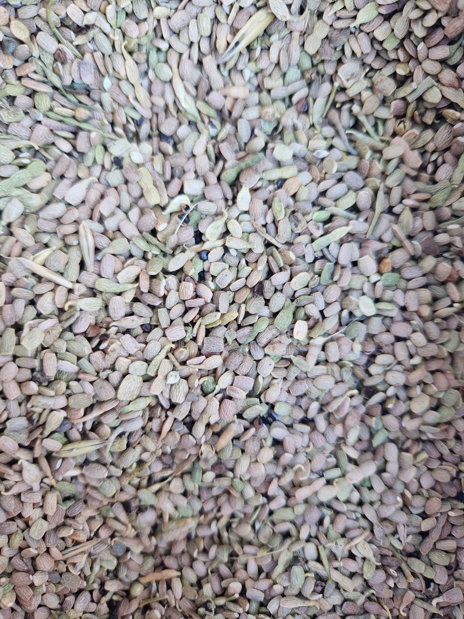 Saladera Saladera