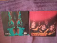 Plyty vinylowe Bee Gees / Robert Schroeder