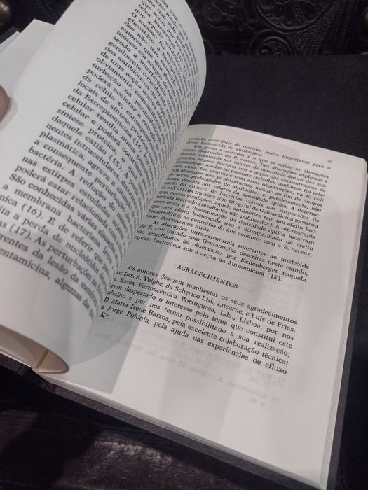 O Lugar da Gentamicina na Antibioticoterapia Actual