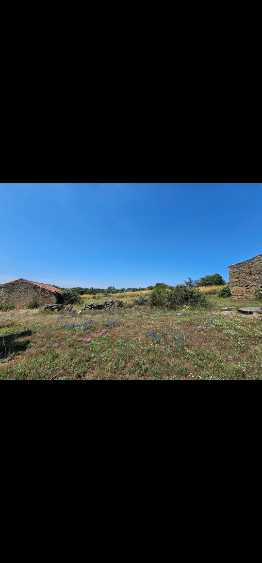 Terreno com 2 casas e outro lameiro