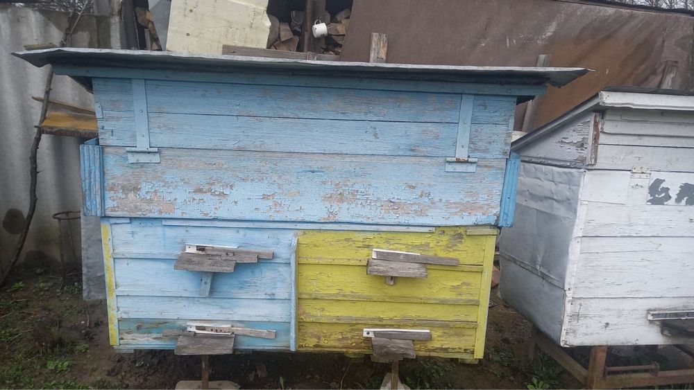 Вулик з рамками на дві сімї