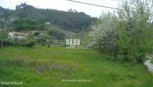 Venda Terreno, junto à estrada, Penha Longa, Marco de Canaveses