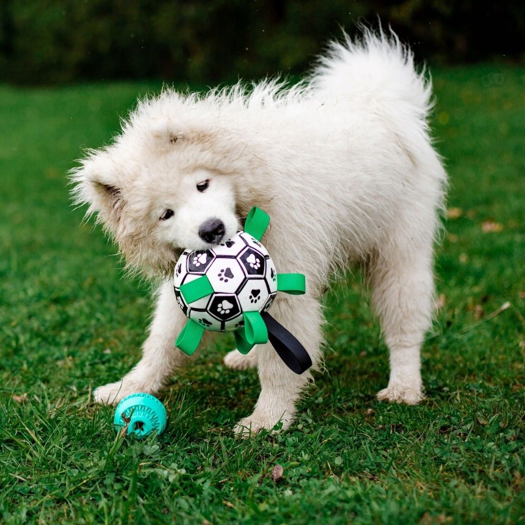 Zabawka dla psa Interaktywna piłka z uchwytami