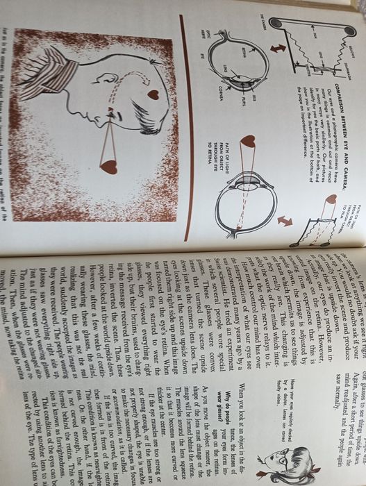 Beginning Science / Science Experiments /Light and Color - Antigo 1971