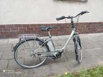 Rower gazzele inpulse