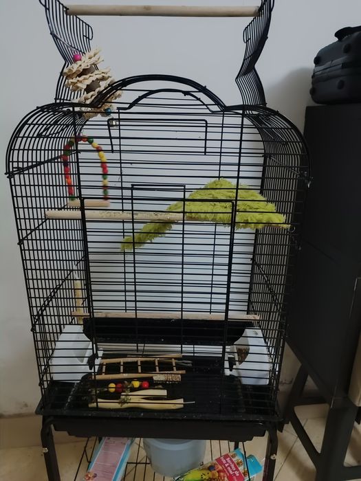 Gaiola semi novo