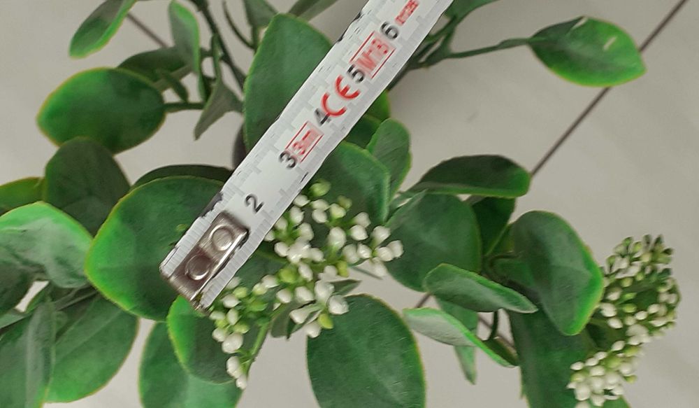 Bukiet dodatek do stroika liście