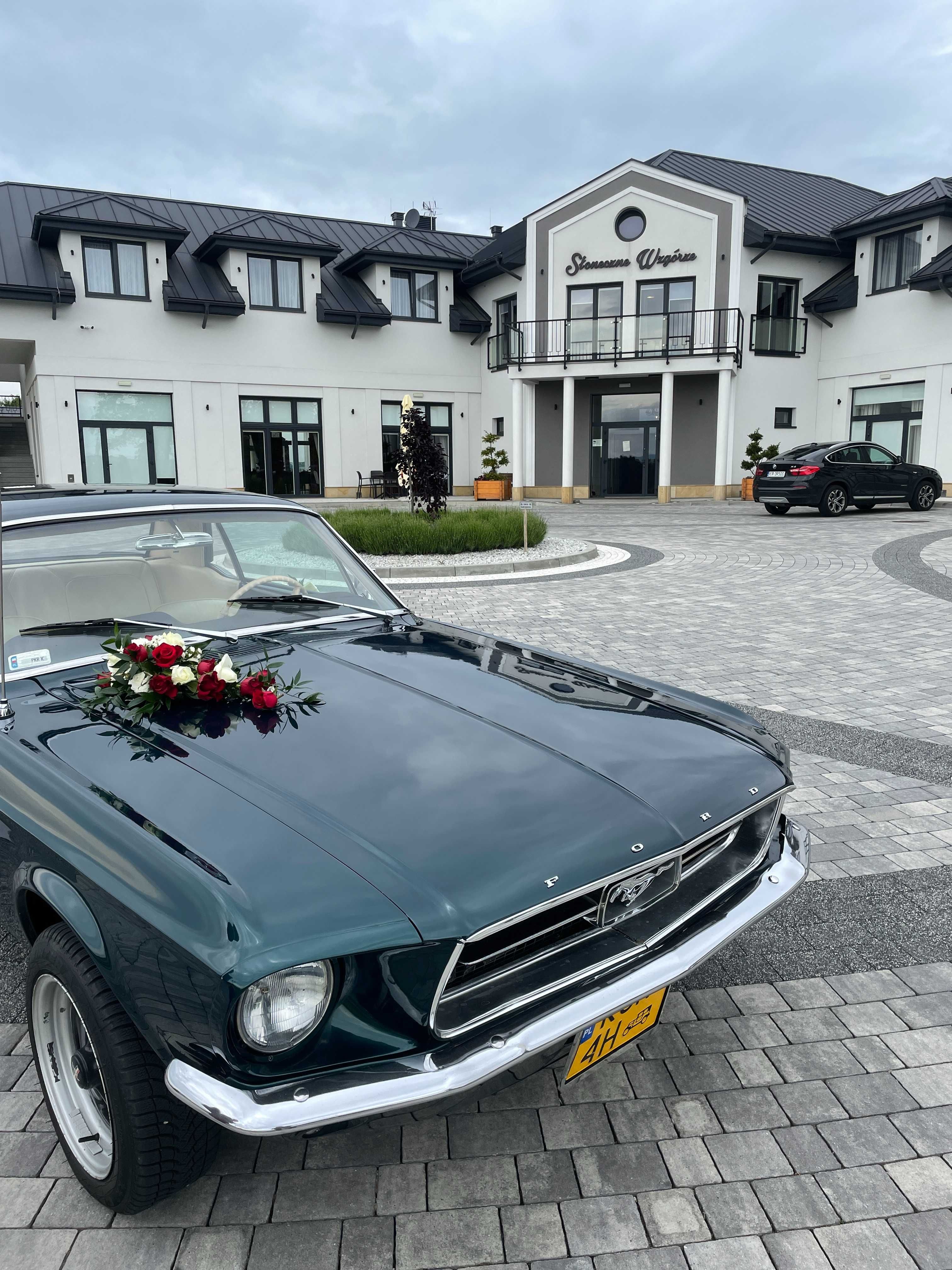 Prowadź sam ! Auto do ślubu , samochód na wesele FORD MUSTANG 1967 V8