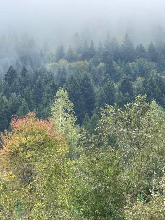 Земельна ділянка Корчин