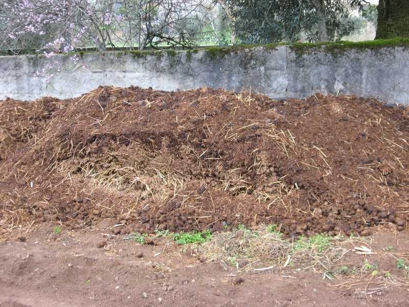 Terra preta, estrume Cavalo ou bovino, fertilizante natural orgânico.