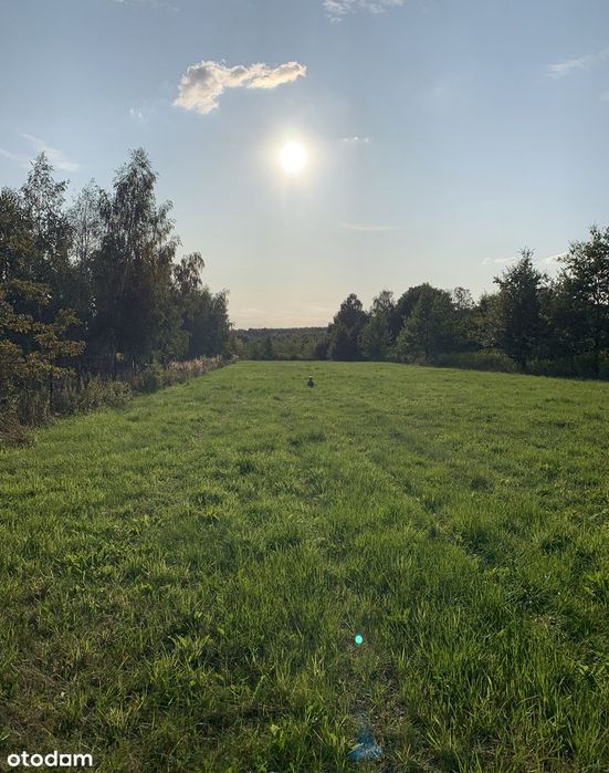 Zaproponuj cenę. Pilnie sprzedam działkę  800m²  Zgierz osiedle 650