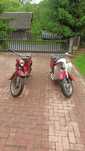 JAWA 50 typ 20 Kaczka