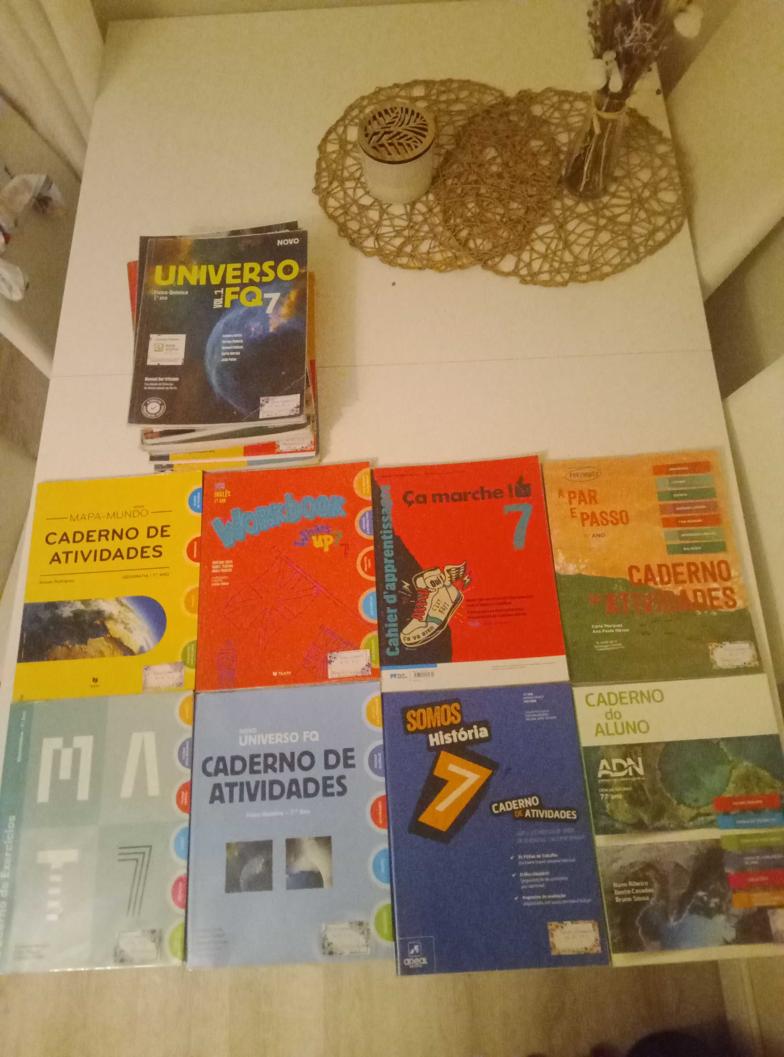 Manuais e cadernos actividades 7 ano