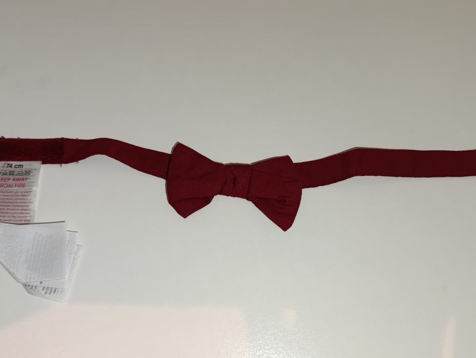 Muszka mucha chłopięca