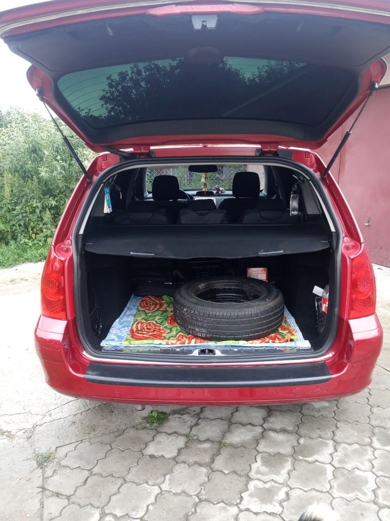 Пижик 307св 2006