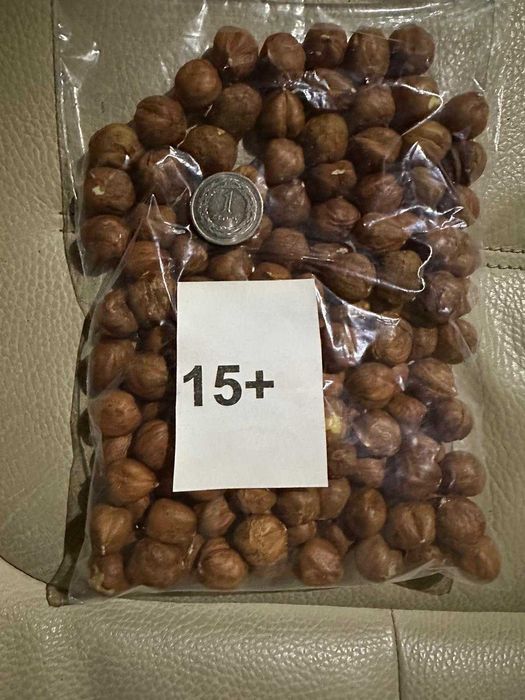 Orzechy laskowe premium z Gruzji – zbiór 2024, tylko hurt!