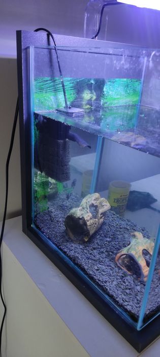 Akwarium 30 l lampka filtr