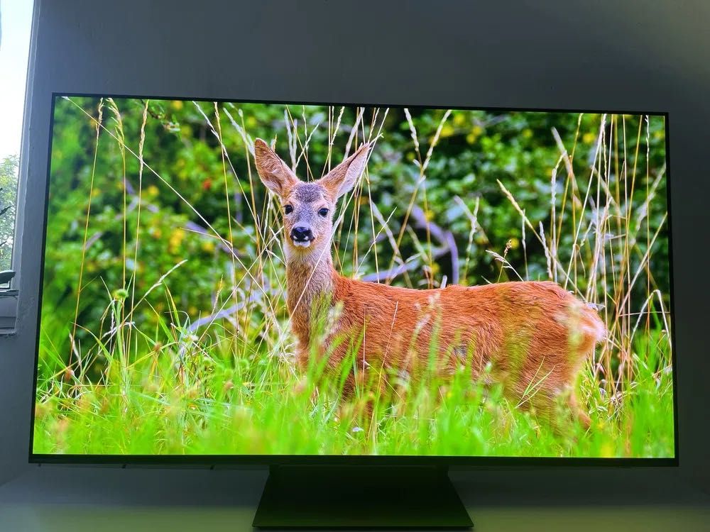 Телевизор Samsung QE-55S92C