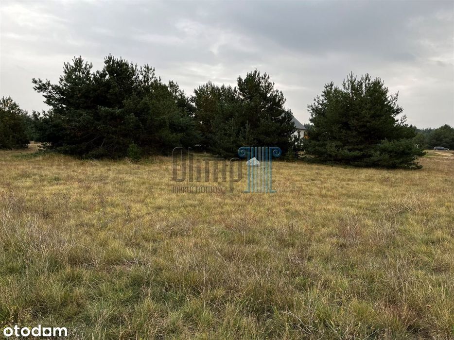 Duża działka w Prądkach przy lesie