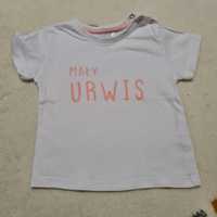 Koszulka chłopięca niemowlęca - T Shirt - Mały urwis