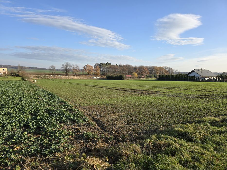 Działka budowlana Targoszyn, gmina Mściwojów