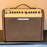 Fishman Loudbox Mini PRO-LBX-EX5 - Gitarowe Combo Akustyczne