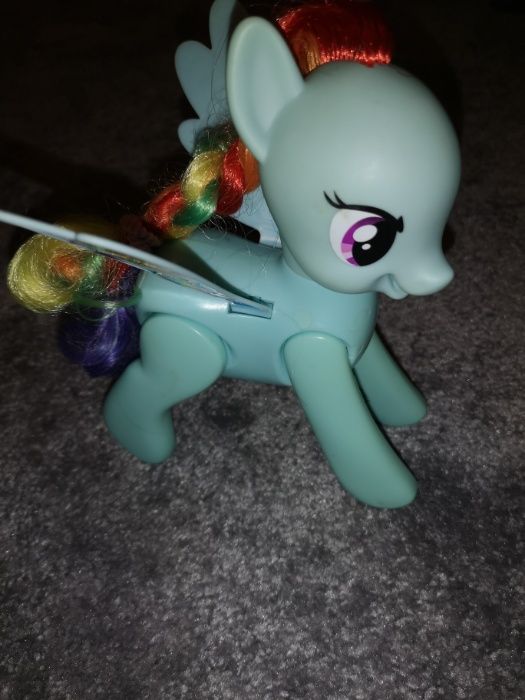 Konik pony Rainbow Dash