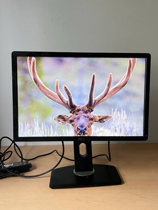 Монітор Dell (2шт) / 22 IPS / Full HD / 60 Гц