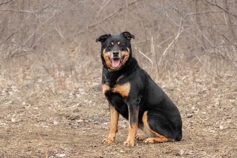 Шикарна Джес шукає родину