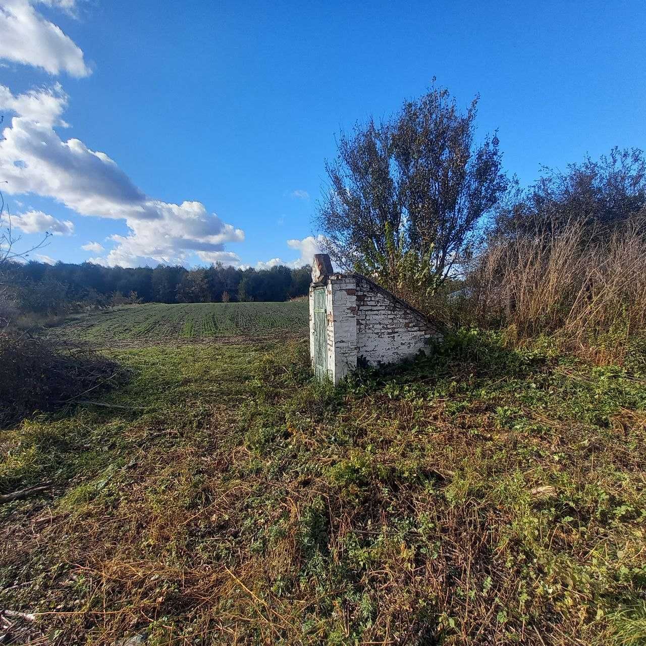 Будинок в с Харківці