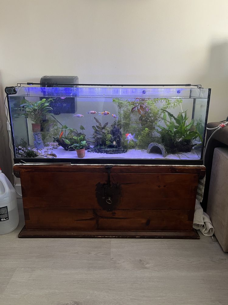 Aquario 100x30x40 usado