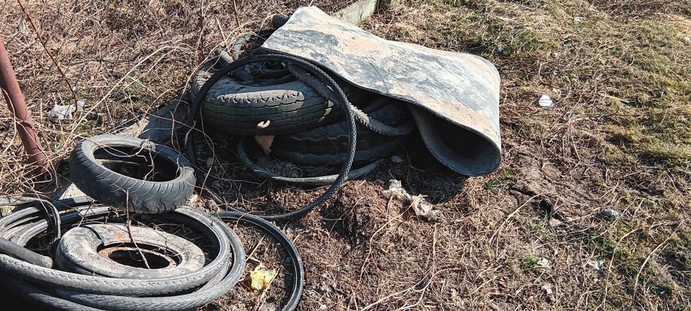 Oddam za darmo opony