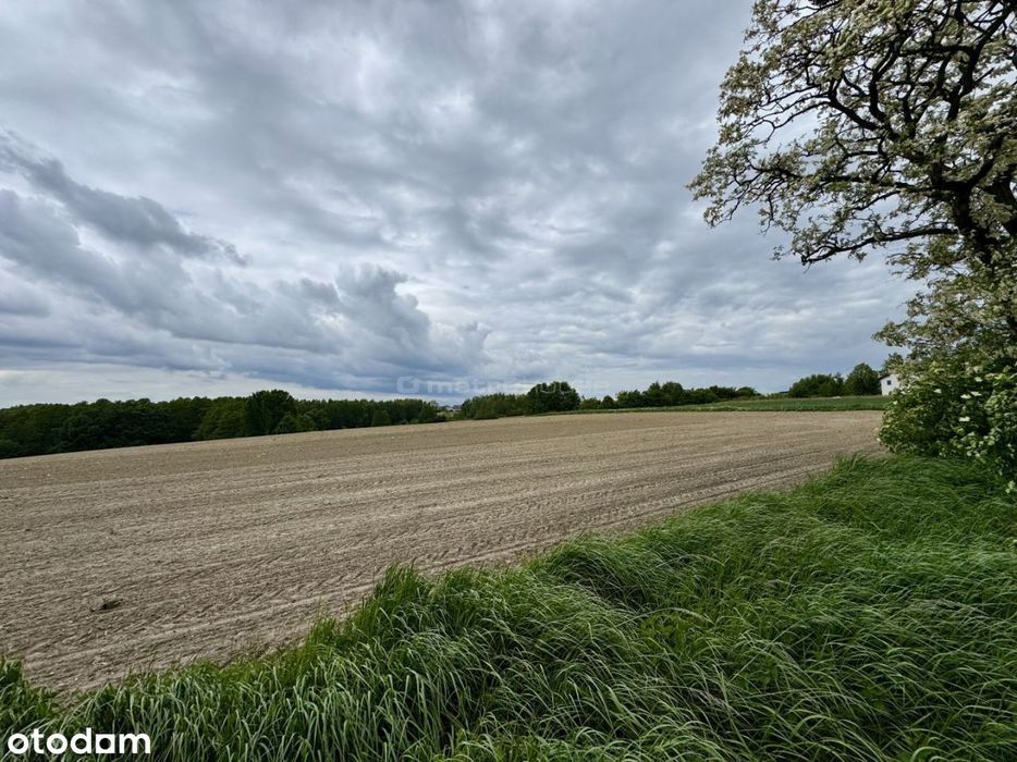 Wyjątkowa Działka przy Lesie!